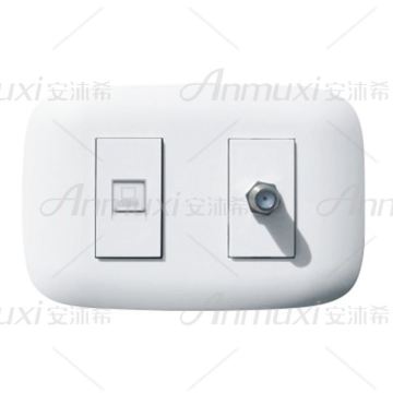 1 Gang Computer Socket and 2 Wall Socket