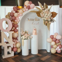 Custom Baby Shower Acrylic Arch Backdrop for Sale