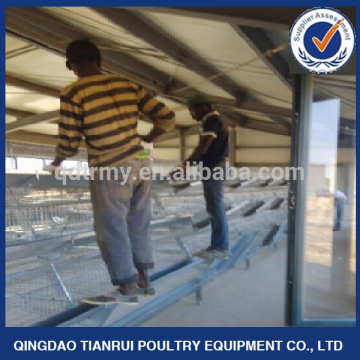 Hot selling A frame automatic layer poultry cages in Nigeria