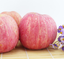 Fresh crisp ningxia apple red Fuji apple fruit