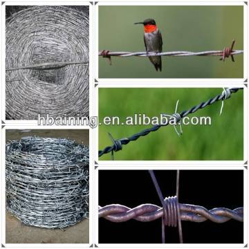 stainless steel barbed wire fencing