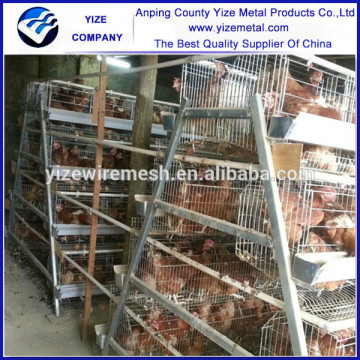 Chicken Breeding Cage/Chicken Raising Cage