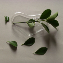 Heart Shape Flower Vase