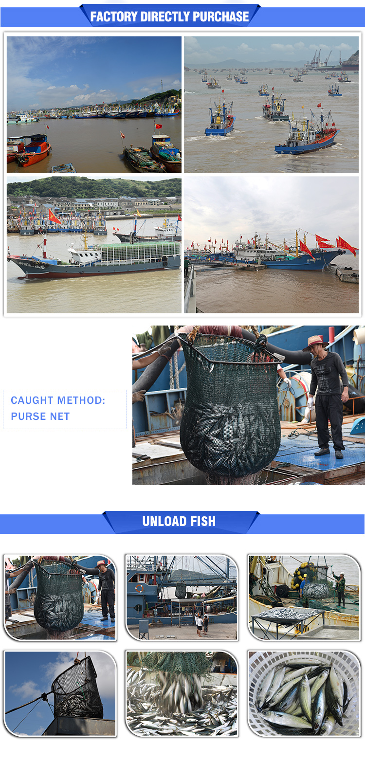 Bonito Loin For Canning Canned Food Frozen Precooked Tuna Woven Bag Pack Fishing Used To Make Ingredient Factory Skipjack Orient