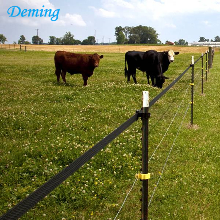 Factory Direct Wholesale Metal Farm Fence Studded T post