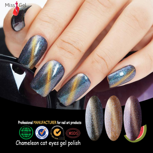 factory price create your own brand cat eye color gel