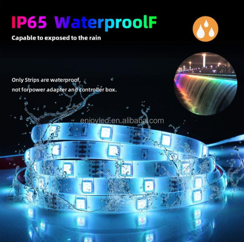 Smart Home SMD5050 12V RGB Music Timing Flex LED Strips Light 5M/10M/15M/20M
