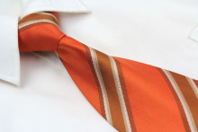 Polyester School Neck Ties