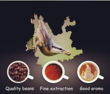 Spray Freeze Dried Instant Coffee With Certificate