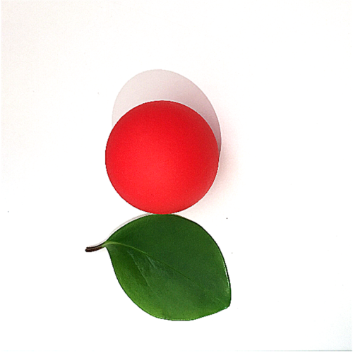high quality solid rubber lacrosse ball