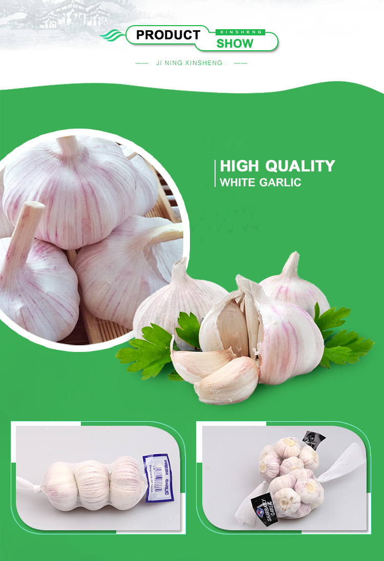New Crop Normal Pure White Fresh Garlic red garlic to brazil