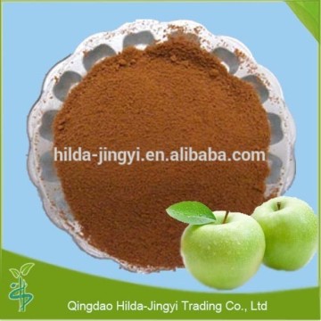 High quality apple powder apple polyphenol 75%