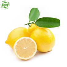 Private Natural Flavor Essence Lemon Oil