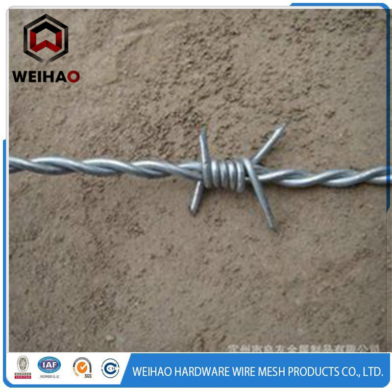 barbed wire 3