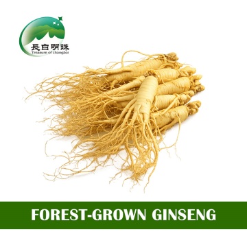 Wild-simulated ginseng Natural Tonic