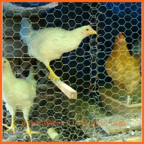 Hexagonal Chicken Wire Mesh/Chicken Coop Hexagonal Wire Mesh/Hexagonal Iron Wire Mesh