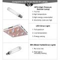 EU / US Stock Cob Grow Light Full Spectrum 3000w / 2000w