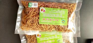 Mealworms Rich In Protein