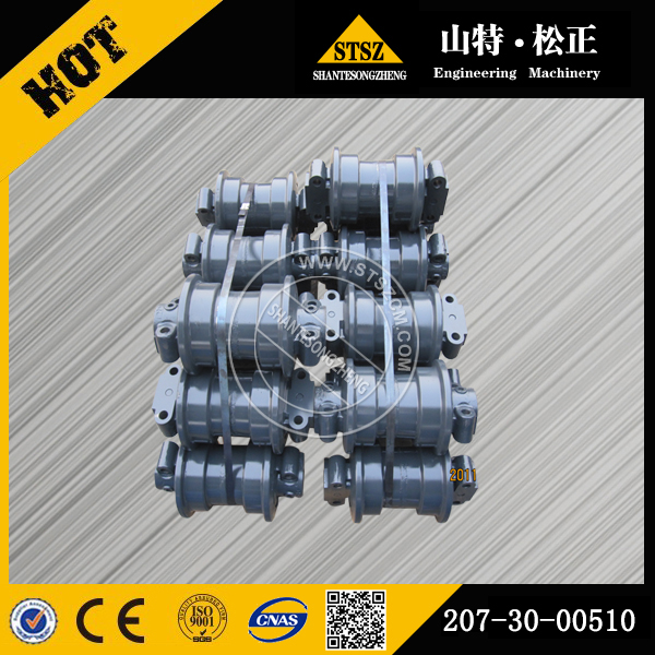 مسار Roller Ass&#39;y 207-30-00511 لـ Komatsu PC300-8