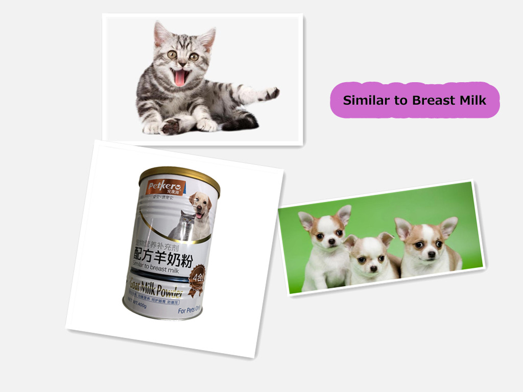 Protect Intestines and Stomach For cats dogs
