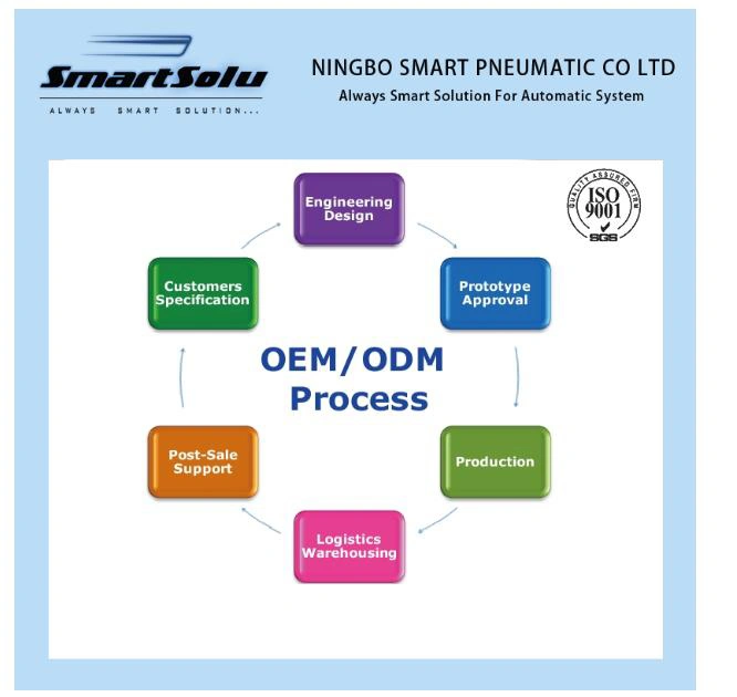 Customized OEM ODM Non-Stand Standard Pneumatic Pulse Solenoid