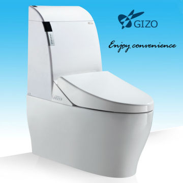 Sanitary ware One piece Dual Fush Intelligent Toilet