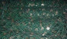 Coating Plastic Slope Stabilisation Mesh rockfall protectio