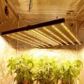 Las luces LED regulares de Phlizon cultivan plantas