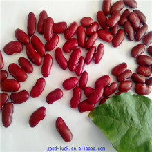 red light speckled kidney beans(2015 crop)
