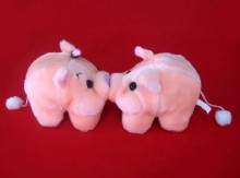 couple kissing pigs  SN-028