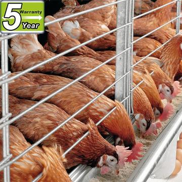 China alibaba supplier cage for chickens wire