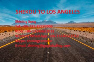 Shenzhen Shekou Sea Freight to United States Los Angeles