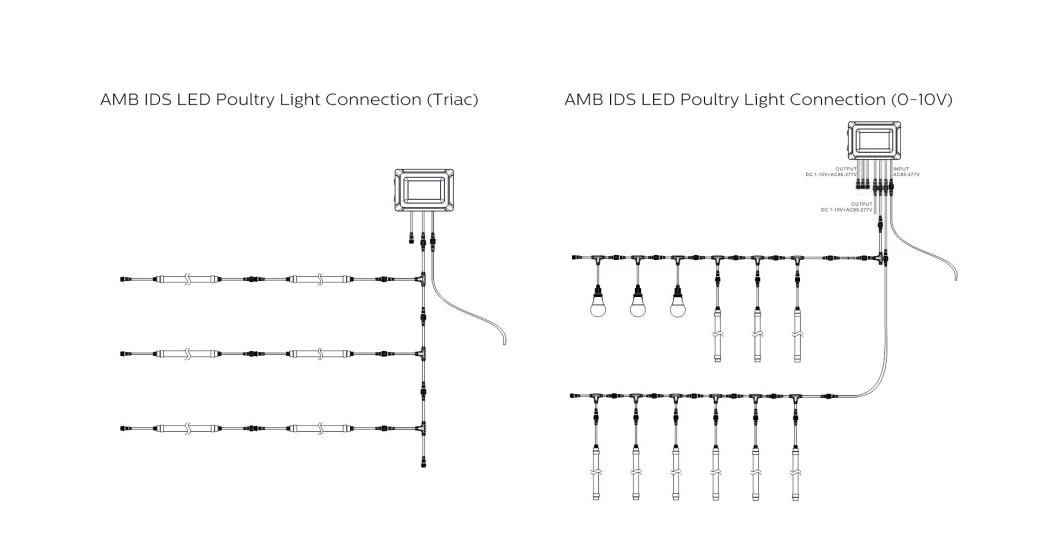 Triac Dimming/0-10V Dimming Smart Lighting Controller System