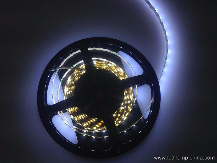 Good price LED tape S shape SMD2835