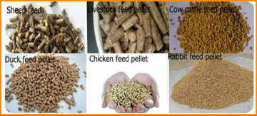 Poultry Feed Pellet Mill/Feed Pellet Mill/Pellet Mill