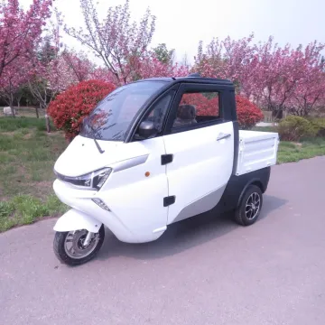 EEC/Coc Approval Three Wheel Mini Electric Cargo Vehicle