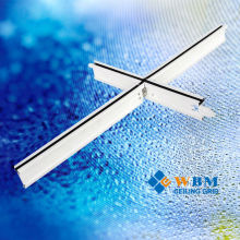 Exposed Gypsum Board Metal Ceiling System