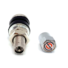 100pcs Sunsoul Chrome Metal Tyre Valves for Scotty Motorcycle Steel Tubeless TR161 Tire Valve Pneu