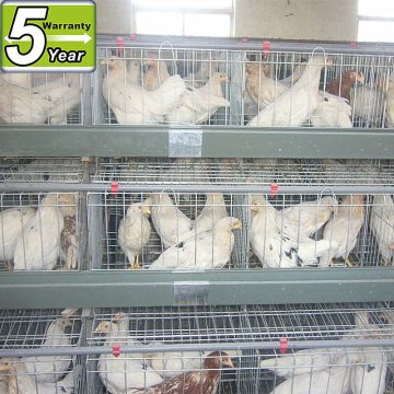 high quality chicken laying cages for poultry farm