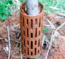 Garden Tree PE Material Tree Guard