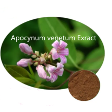 Buy online active ingredients Apocynum venetum Exract powder