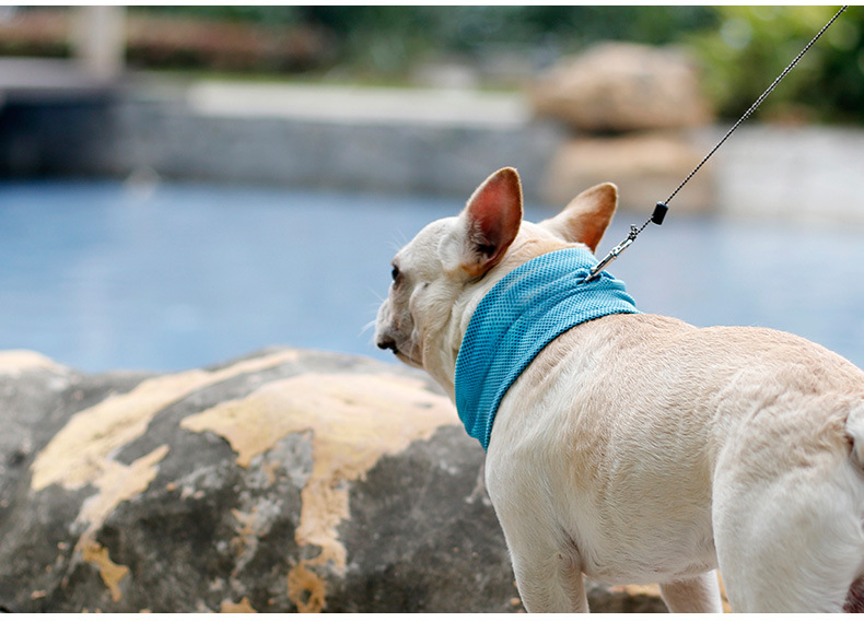 Pet Summer Cold Neck Scarf French Bulldog Dog Cat Cooling Scarf Triangle Scarf Ice Towel Wholesale