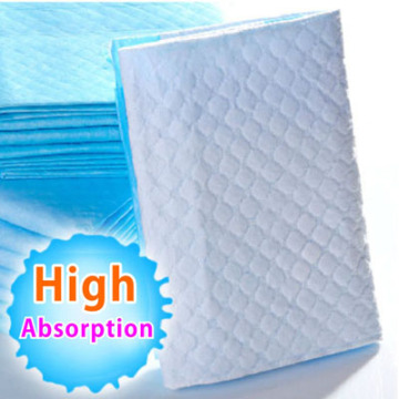 Disposable Puppy Pad Training