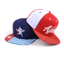 cool design 6 panels flat caps