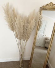 Wholesale Discount Wedding Decoration Natural Dry Flowers 90CM Large Size Brown Dried Pampas Grass