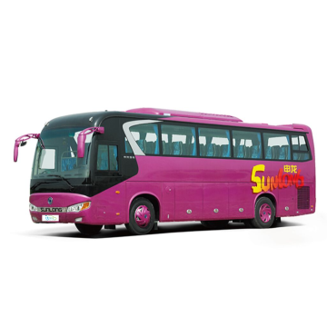 Electric Buses and Coaches: New Energy Vehicles for Passenger Transport