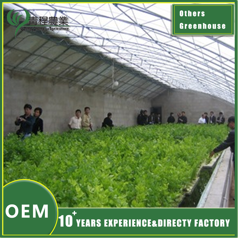 дызайн сонечнай цяпліцы solar greenhouse design