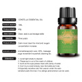 Hot Selling Centella essential oil for slimming