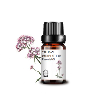 AROMA DE MASSAGEM DA VALERIAÇÃO DE ARMAGEM DE VALERIAÇÃO DE VALERIAN ARMA