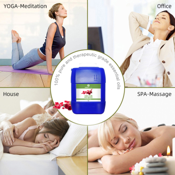 Floral Rose Water  Popular Rose Hydrosol for Body Face Skin Beauty